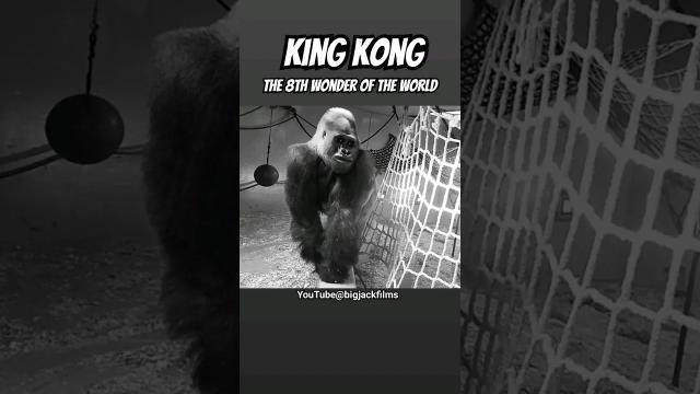 Title card image for video titled Behold! The 8th Wonder! #kingkong #torontozoo #gorillas #godzillavskong #kong #skullisland