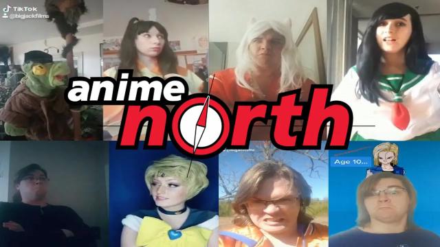 Title card image for video titled BIGJACKFILMS TikTok Collection Vol. 9 - ANIME NORTH 2020 EDITION